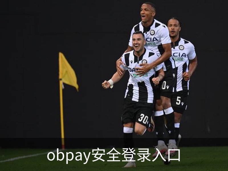 了解obpay安全登录入口